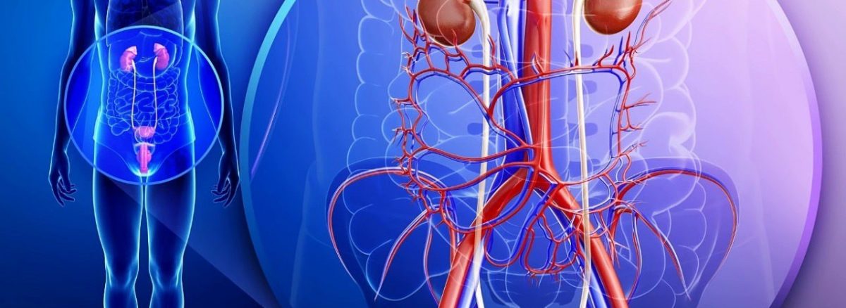 urólogo en guayaquil