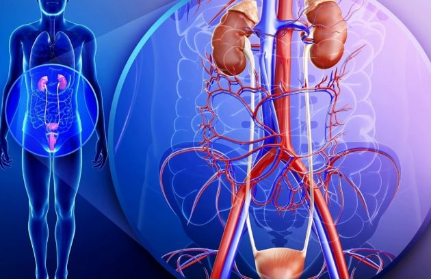 urólogo en guayaquil